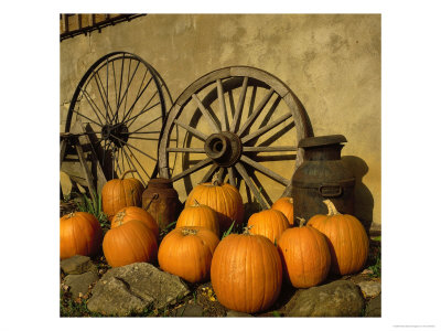 Pumpkins, Wagon Wheels And Milk Can, Todd, Nc by Tom Dietrich Pricing Limited Edition Print image