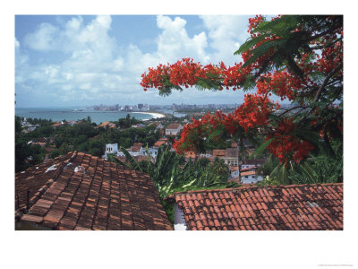 Recife, From Olinda, Brazil by Michele Burgess Pricing Limited Edition Print image