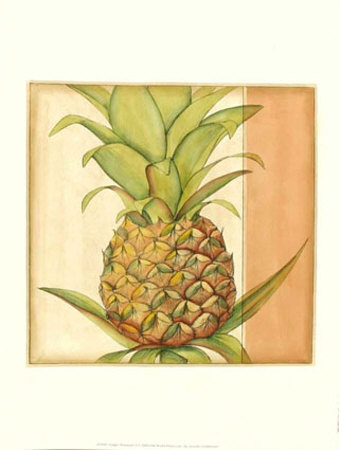 Ginger Pineapple Ii by Jennifer Goldberger Pricing Limited Edition Print image