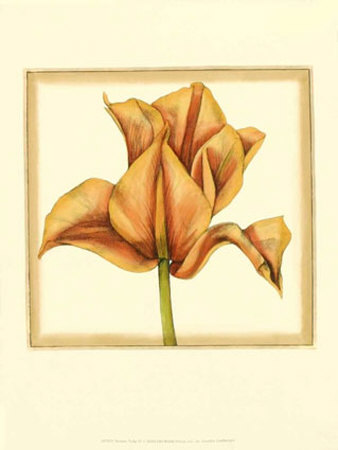 Sunset Tulip Iv by Jennifer Goldberger Pricing Limited Edition Print image