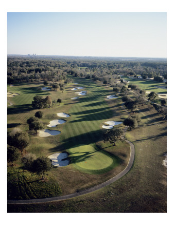 World Woods Golf Club Pine Barrens & Rolling Oaks Courses, Aerial View by Stephen Szurlej Pricing Limited Edition Print image