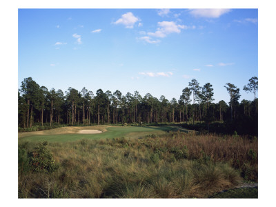 Lpga Legends Golf Course, Hole 4 by Stephen Szurlej Pricing Limited Edition Print image