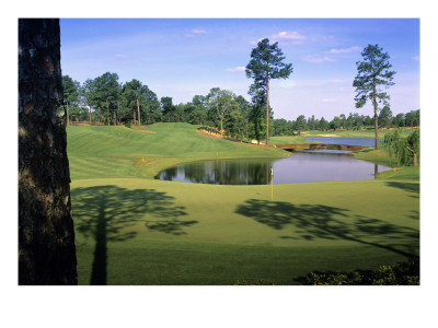 Pinehurst Golf Course No. 4, Hole 4 by Dom Furore Pricing Limited Edition Print image