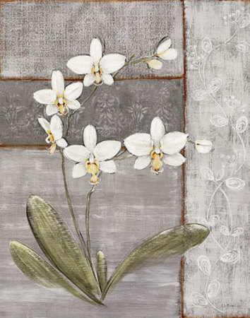 Orchid Shimmer Ii by O. Braun Pricing Limited Edition Print image