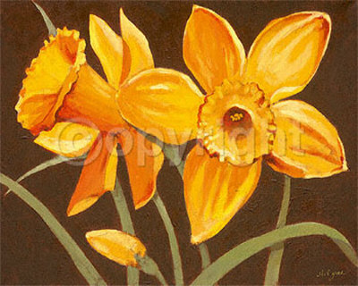 Sunshine Daffodils by Steff Green Pricing Limited Edition Print image
