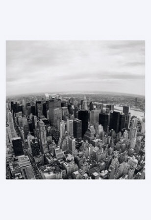Looking North From The Empire State Building by Igor Maloratsky Pricing Limited Edition Print image