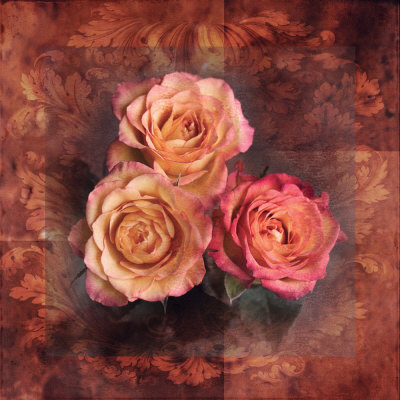 Rose Trio I by Tom Collicott Pricing Limited Edition Print image