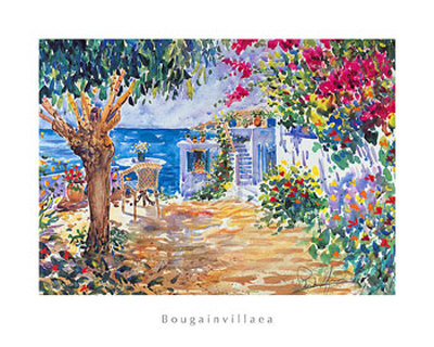 Bougainvillaea by Patrick Livingstone Pricing Limited Edition Print image