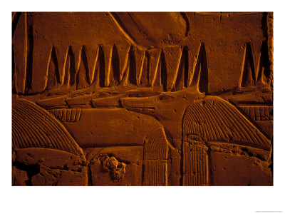 Images Of Anubis Near Ramesses Ii Reliefs And Karnak Temple, Egypt by Claudia Adams Pricing Limited Edition Print image