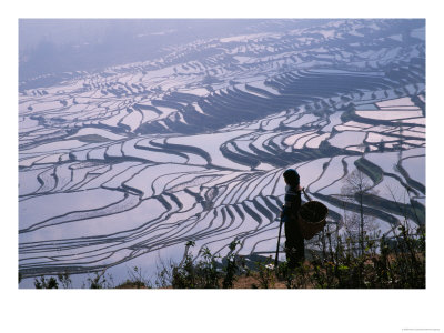 Hani Girl With Rice Terraces, China by Keren Su Pricing Limited Edition Print image