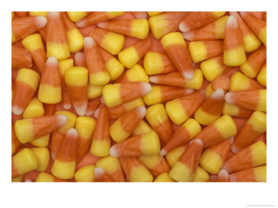 Candy Corn, Washington, Usa by Jamie & Judy Wild Pricing Limited Edition Print image
