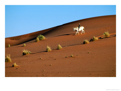 Boy On Horse On Sand Dune, Kalahari, South Africa by Ariadne Van Zandbergen Pricing Limited Edition Print image