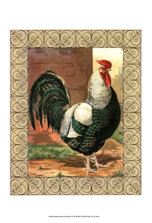 Roosters Iv by Cassell's Poultry Book Pricing Limited Edition Print image