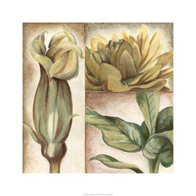 Garden Glimpses Ii by Megan Meagher Pricing Limited Edition Print image