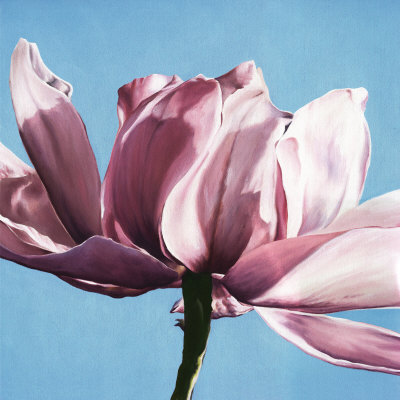 Magnolia In A Cloudless Sky by Scott Walker Pricing Limited Edition Print image