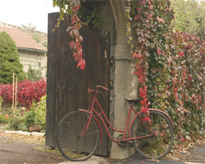 Red Bicycle Near Gate by Francisco Fernandez Pricing Limited Edition Print image