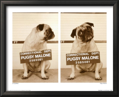 Pugsy Malone by Jim Dratfield Pricing Limited Edition Print image