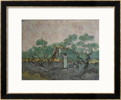 Women Picking Olives by Vincent Van Gogh Pricing Limited Edition Print image