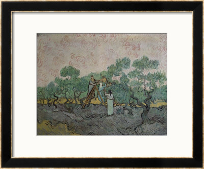 Women Picking Olives by Vincent Van Gogh Pricing Limited Edition Print image