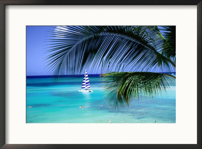 Palm Tree, Swimmers And A Boat At The Beach, Waikiki, U.S.A. by Ann Cecil Pricing Limited Edition Print image