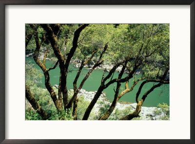 Rogue River, Blm Medford District, Siskiyou Mountains, Oregon, Usa by Jerry & Marcy Monkman Pricing Limited Edition Print image