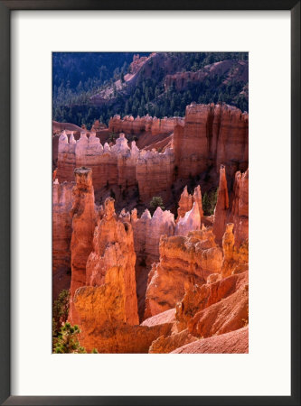 Rock Formations, Sunset Point, Bryce Canyon National Park, U.S.A. by Curtis Martin Pricing Limited Edition Print image