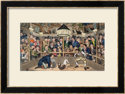 Tom And Jerry Sporting Their Blunt On The Phenomenon Monkey, Jacco Macacco, At The Westminster Pit by I. Robert & George Cruikshank Pricing Limited Edition Print image
