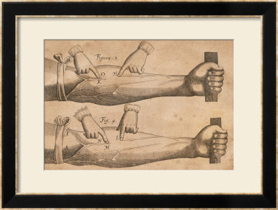 Discovery Of The Circulation Of Blood, 1628 by William Harvey Pricing Limited Edition Print image