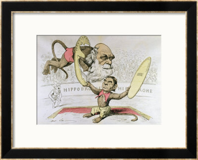 Caricature Of Charles Darwin And Emile Littre Depicting Them As Performing Monkeys At A Circus by André Gill Pricing Limited Edition Print image