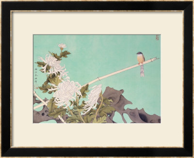 Chrysanthemum And Bird by Hsi-Tsun Chang Pricing Limited Edition Print image
