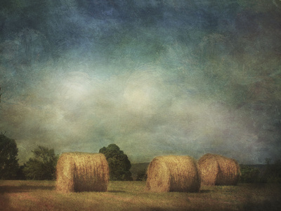 Hay Rolls by Dawne Polis Pricing Limited Edition Print image