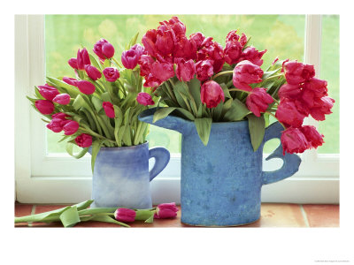 Pink Parrot Tulipa In Blue Vases With Handles, February by Lynne Brotchie Pricing Limited Edition Print image