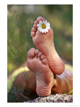 Feet With Daisy Between Toes, Person Lying Back Enjoying The Sun by Bjorn Forsberg Pricing Limited Edition Print image