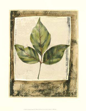 Spring Foliage Ii by Jennifer Goldberger Pricing Limited Edition Print image
