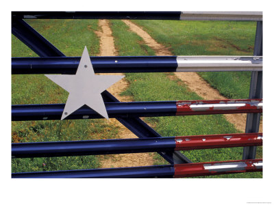 Texas Flag Painted On Metal Gate, Lake Buchanan, Texas, Usa by Darrell Gulin Pricing Limited Edition Print image
