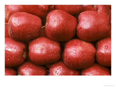 Red Apples by Jim Corwin Pricing Limited Edition Print image