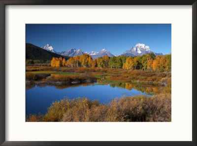 Yellowstone National Park Along The Lewis River by Bob Winsett Pricing Limited Edition Print image