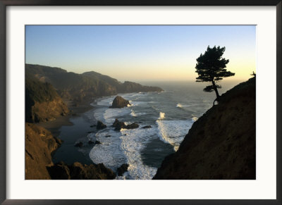 A Scenic View Of The Oregon Coast At Samuel H. Boardman State Park by Phil Schermeister Pricing Limited Edition Print image