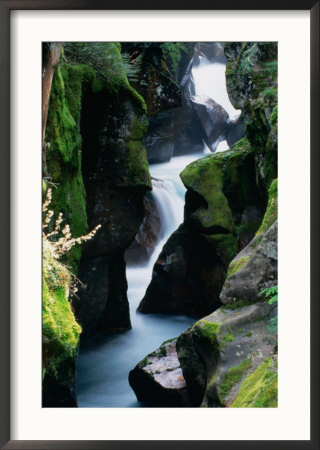 Avalanche Gorge, Glacier National Park, Montana, Usa by Shannon Nace Pricing Limited Edition Print image