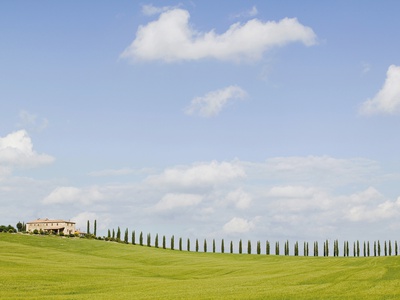 Italy, Tuscany, Landscape by Michael Reusse Pricing Limited Edition Print image