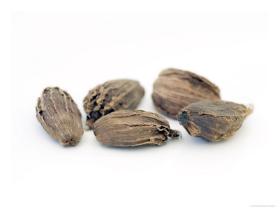 Cardamom, Elettaria Cardamomum by Geoff Kidd Pricing Limited Edition Print image