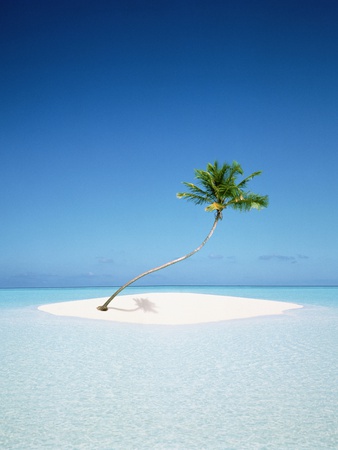 Palm Tree On Island by Hiroshi Takano Pricing Limited Edition Print image