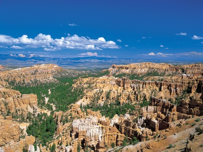 Bryce Canyon National Park by Nobuaki Sumida Pricing Limited Edition Print image