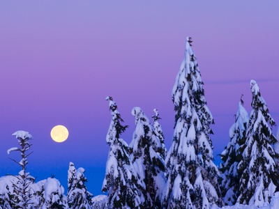 Moonset. From Grouse Mountain, Vancouver, British Columbia, Canada. by David Nunuk Pricing Limited Edition Print image
