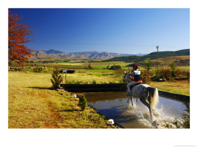 National Horse Trials, Kwazulu Natal, South Africa by Roger De La Harpe Pricing Limited Edition Print image