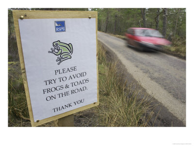 Warning Sign To Motorists Of Frogs Crossing, Scotland by Mark Hamblin Pricing Limited Edition Print image