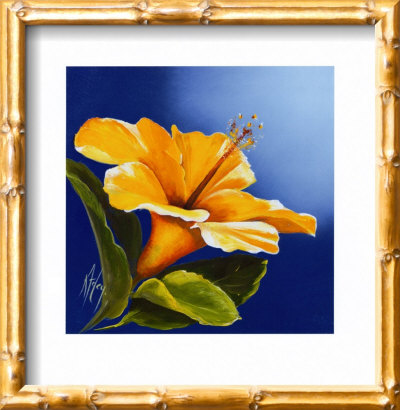 Sunny Hibiscus by Karen Foley Pricing Limited Edition Print image