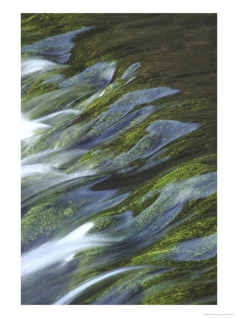 Waterblurred Effectfast Flowing Streamuk by Mark Hamblin Pricing Limited Edition Print image
