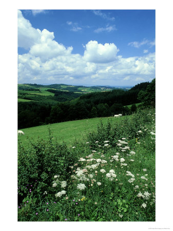 Meadow And Pasture, France, July by William Gray Pricing Limited Edition Print image