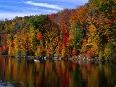 A Fisherman On Monksville Reservoir, Longpond Ironworks State Park, New Jersey, Usa by Greg Gawlowski Pricing Limited Edition Print image